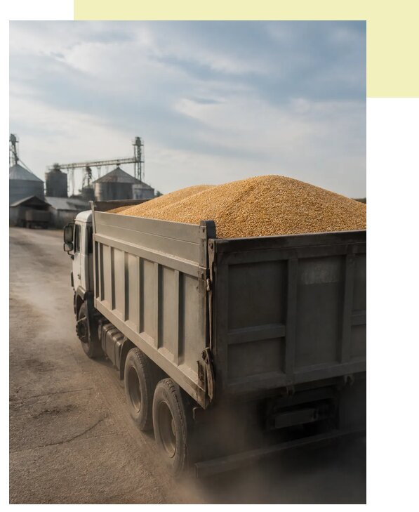 Перевозка сельхозпродукции навалом в Томск по цене от 3278 р. | Агросервис-Тмс